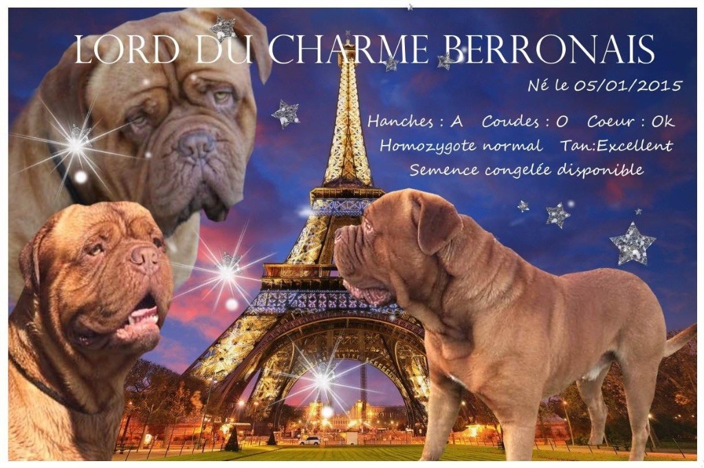 Lord Du Charme Berronais