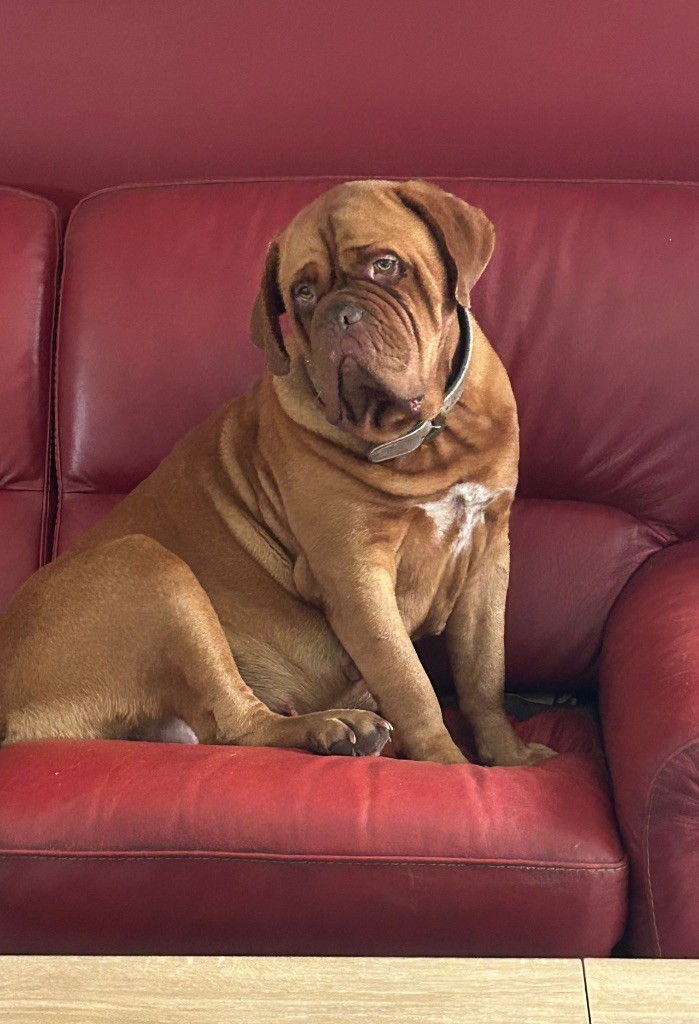 Pearl Du Charme Berronais